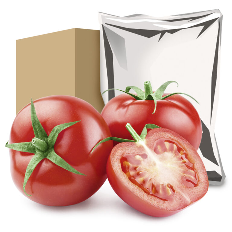 Tomato pulp, 8 / 10 mm, 10 kg Wintertrade